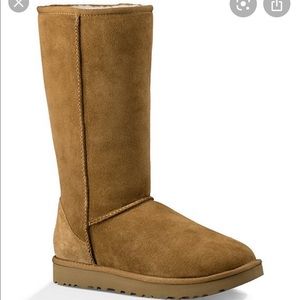 Classic tall ugg boots
